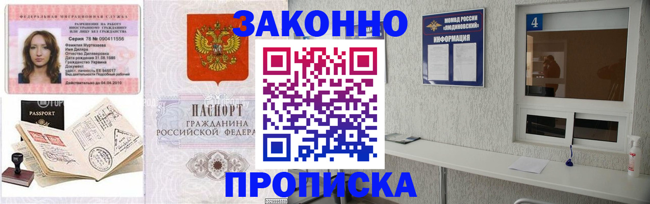 прописка в квартире в Губкинском